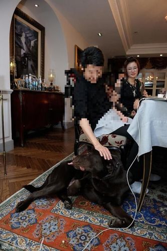 周立波挺大肚扮皮卡丘 豪宅夜宴李连杰撒贝宁(全文)