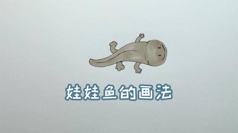 娃娃鱼的画法