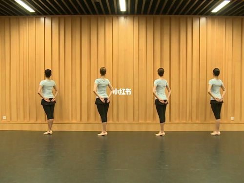 舞蹈家协会少儿舞蹈考级第四级:小书童_舞蹈_英语四级