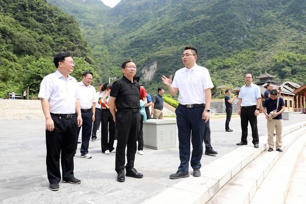 自治区人大常委会副主任卢献匾率队到凌云县调研