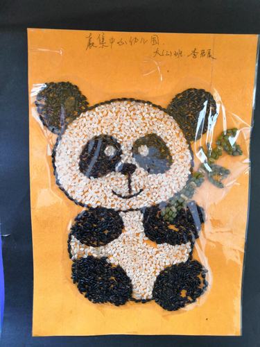 袁集中心幼儿园大三班种子粘贴画