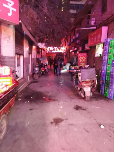 会干部樊钵,李保民,带领综治办工作人员对吉祥村三道巷全段进行夜查