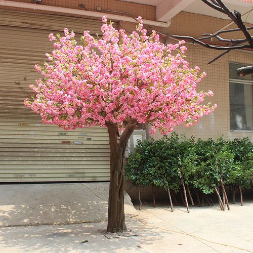 如果你在工厂购买制作好的樱花树枝可以按照上面标签序号与树干孔内