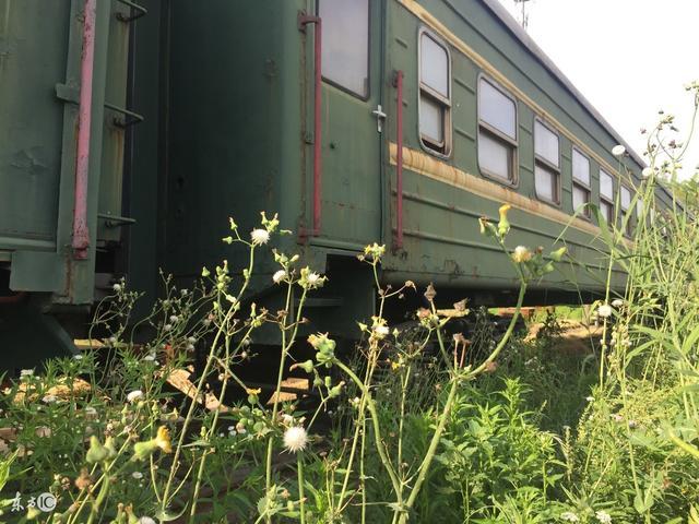 故事:开往兰州的绿皮子火车