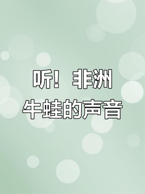 非洲牛蛙的独特叫声,你听过吗?