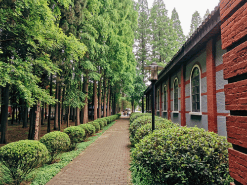 春暖花开 她,就是被苏州人称为网红学院的苏州农业职业技术学院.