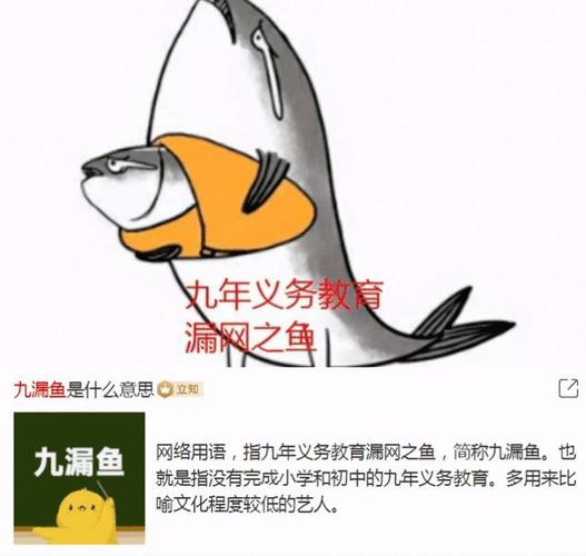 周迅都能被嘲学历低王一博吴宣仪这样的九漏鱼怎么办