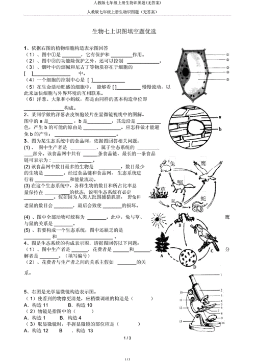 人教版七年级上册生物识图题(无).docx 3页