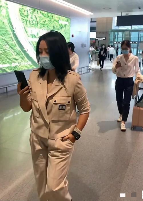 原创何洁走机场被拍素颜出油蜡黄胖的真实失业在家成了黄脸婆