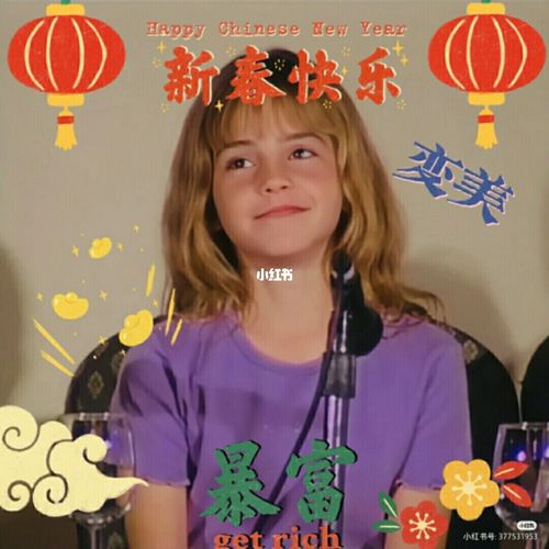 哈利波特之新年快乐_哈利波特_新年去哪玩_影视_电影