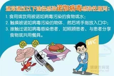 鼋瓦隆条涂色诺如病毒预防洗手手抄报洗手日手抄报