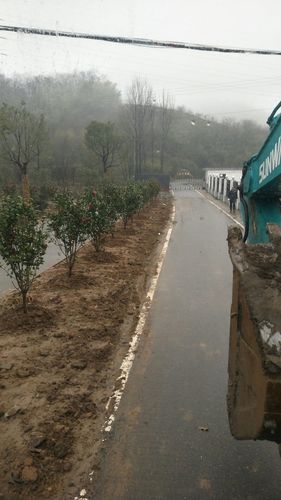 江苏省镇江市句容市312国道靠近红门楼天气预报