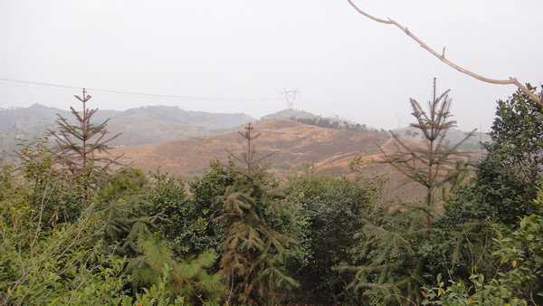 湖北省黄冈市浠水县巴驿镇,2001年,全县完成乡镇区划撤并工作,共撤并