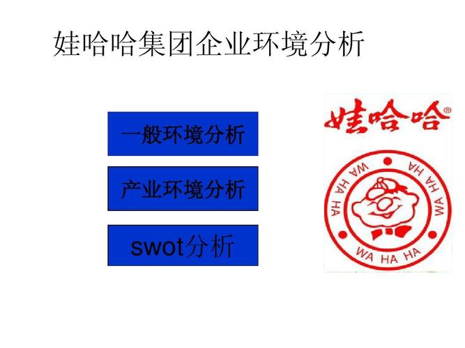 娃哈哈集团企业环境分析ppt