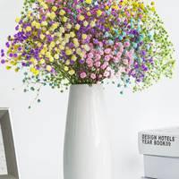 满天星干花图片头像微信花草植物头像大全