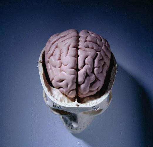 移植年轻人的粪便,逆转大脑衰老?科学家这招让人难以接受_人类