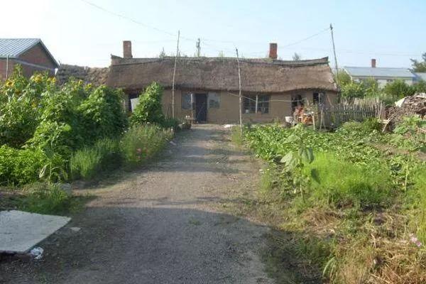 东北农村老照片——难忘北大荒