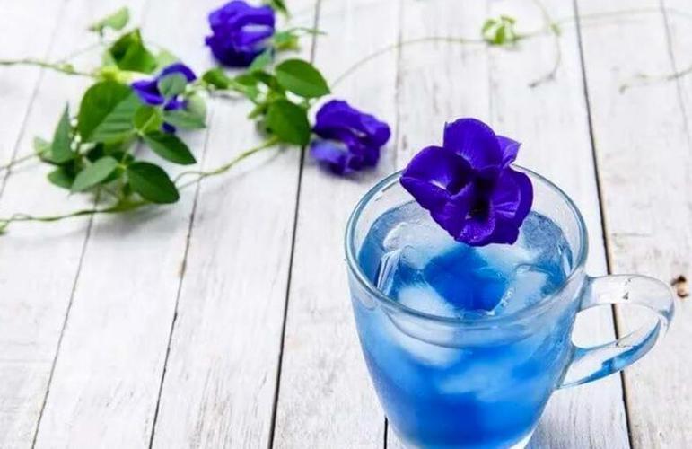 蝶豆花的功效与作用及禁忌