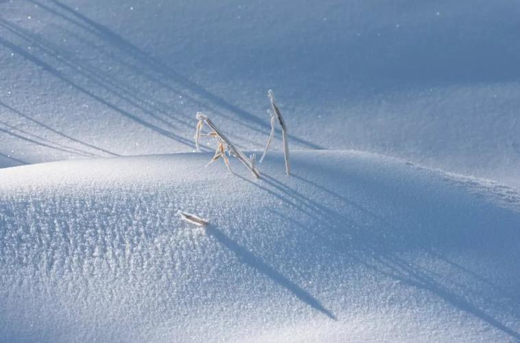 转载这10首雪诗词不带一个雪字却写尽雪之美叹为观止