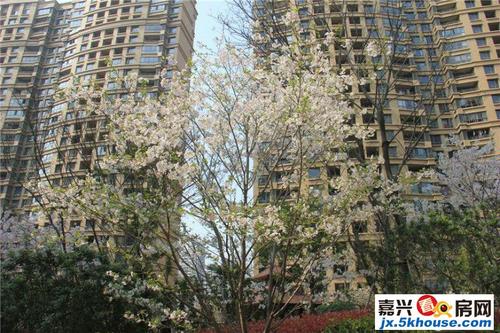 市区晴湾二手房_3室2厅2卫92平方126万元_嘉兴晴湾信息—嘉兴看房网