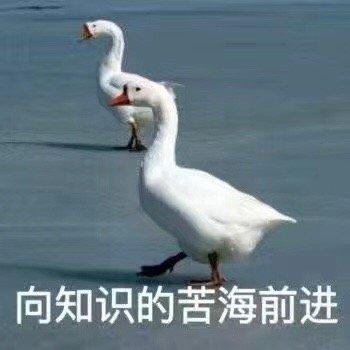 向知识的苦海前进_苦海_前进_知识表情