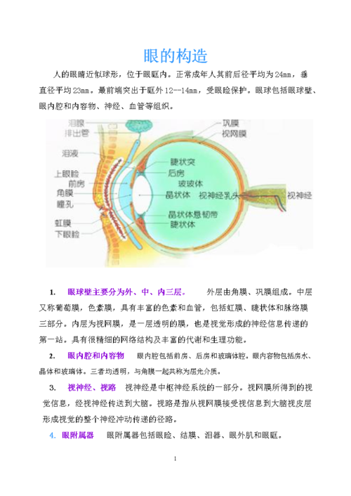 八年级生物上册-眼的构造素材-人教新课标版.doc