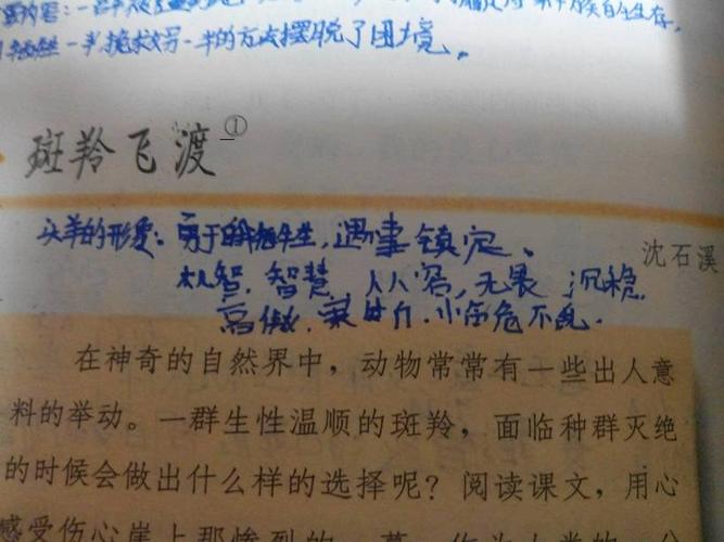 沈石溪的《羚羊飞渡》求解!必采纳!