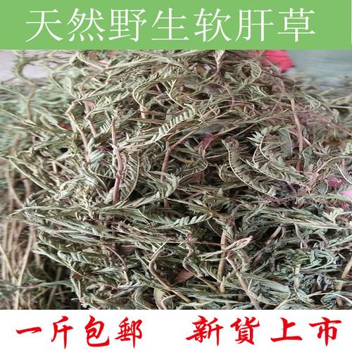 克包邮 500 乙肝草 益肝草 铁甲草 野生中要材新货软肝草
