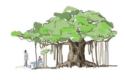 蝉声飘洒榕树头