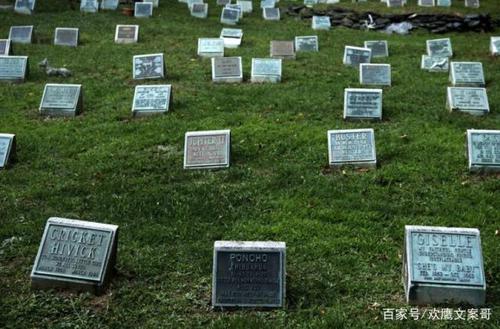 英女子与前男友墓地"激情",被路人拍下上传网络,不堪