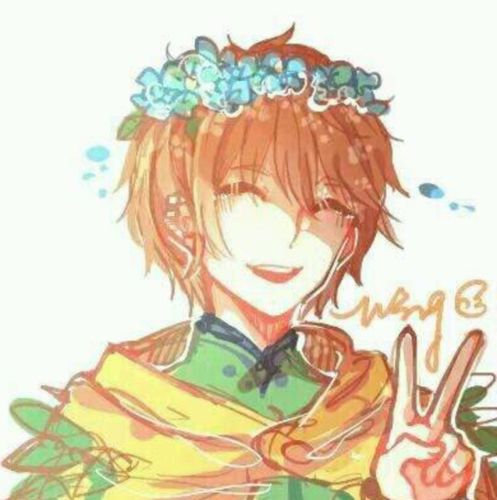 浮空翼羽队长,浮空城no1,(羽翼神界神王)6868唐晓翼no1系:全部(除