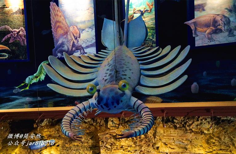 好山好水好风光 云南澄江动物群古生物国家地质公园