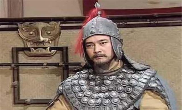 魏军大规模练兵,姜维嗅到了危险的气息,启奏刘禅让他调集军队早做准备