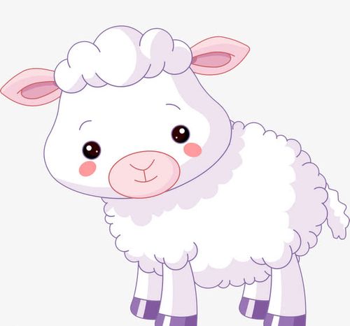 可爱的小羊