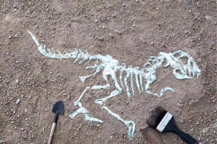 恐龙化石|手作_手工制作_恐龙_创意美术_少儿创意美术