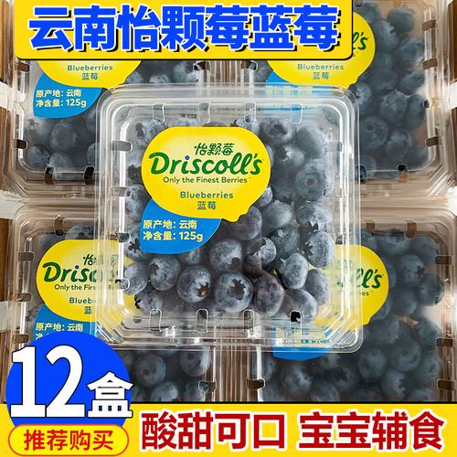 云南怡颗莓蓝莓driscolls蓝莓鲜果新鲜水果怡颗梅时令鲜蓝莓蓝梅