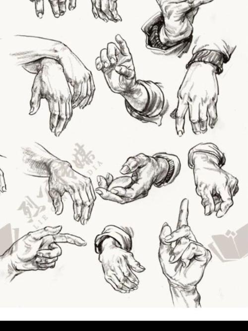速写头手鞋临摹图