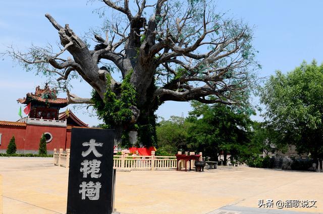 山西洪洞大槐树脱鞋认老乡解手泪汪汪