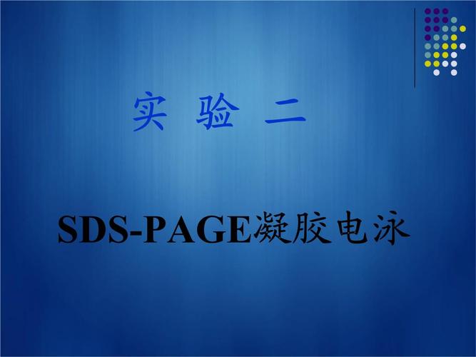 sdspage凝胶电泳分析.ppt 67页