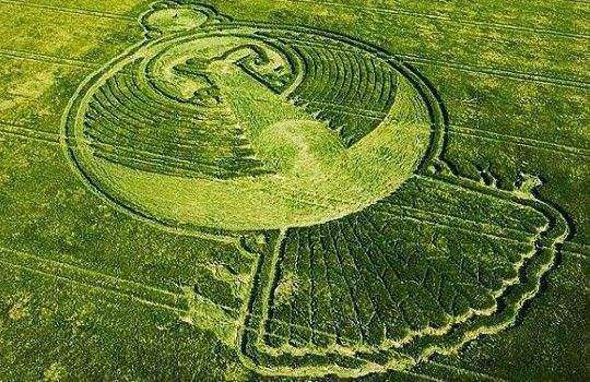 破解麦田怪圈之谜,到底是谁干的?