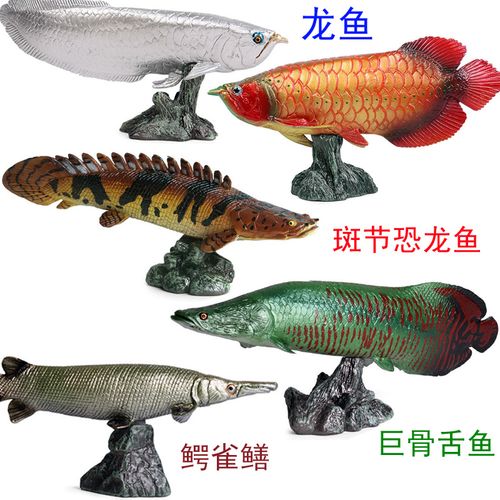 龙鱼底座鱼类仿真摆件斑节恐龙巨骨舌鱼鳄雀仿真