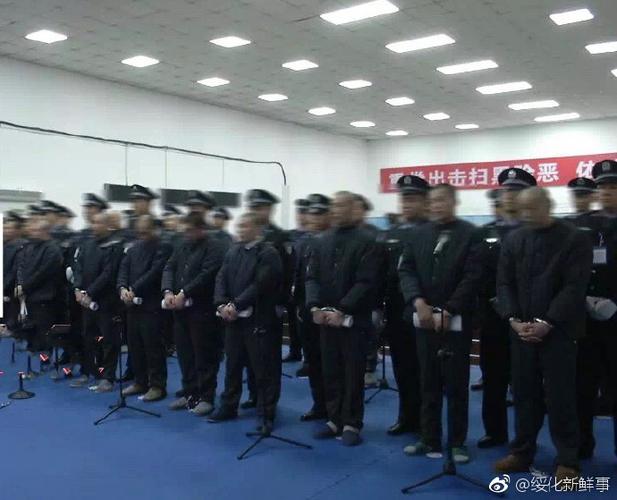 大快人心!绥化安达一黑社会组织被一窝端,涉案570起!