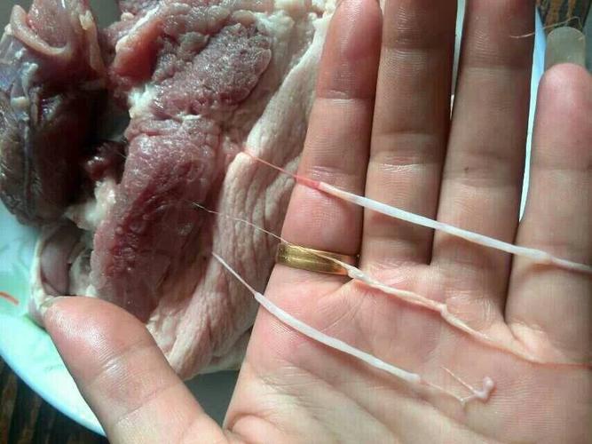 猪肉里的东西是什么