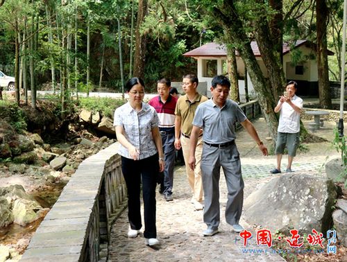 连城县委副书记,县长吕素梅到曲溪乡调研