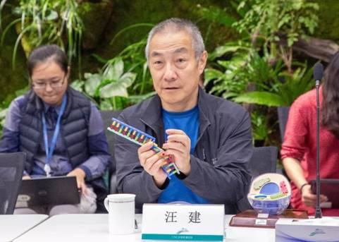 华大集团董事长汪建