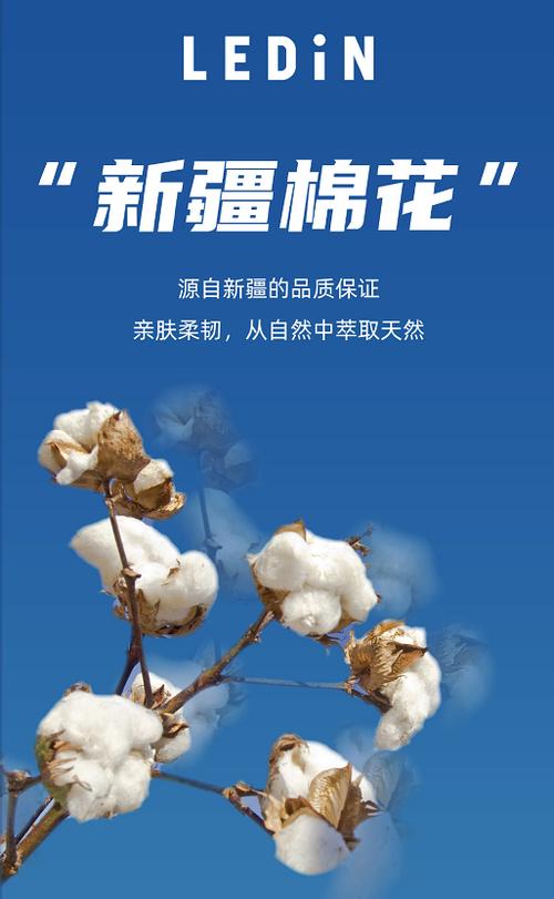 支持新疆棉花这些海报告诉你为什么