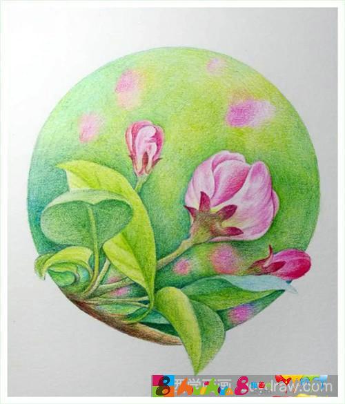 花苞怎么画_绘画吧-画画