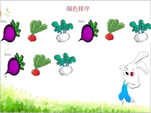 潼南区涪江幼儿园中班停课不停学——数学《有趣的排序》