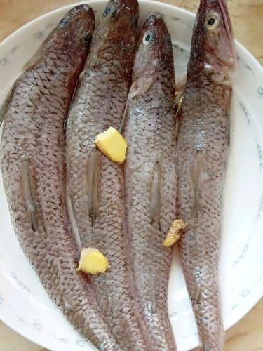 香煎九母鱼的做法