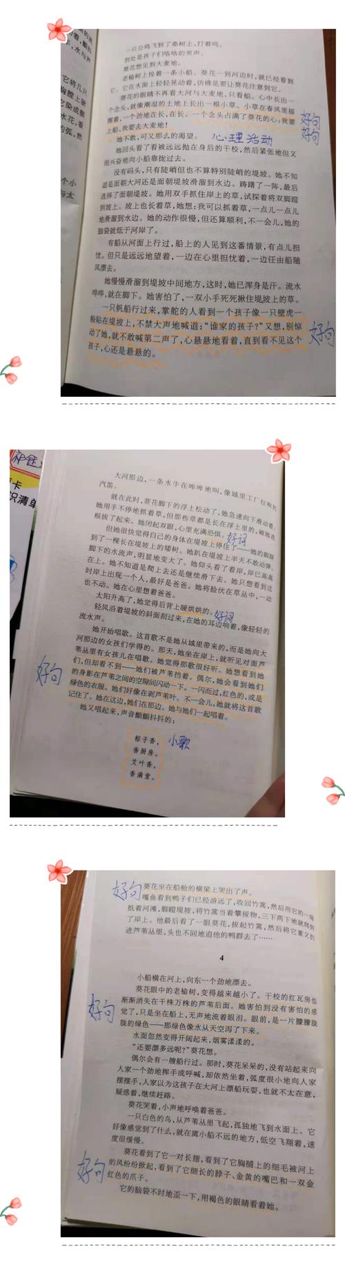 金燕四一,共读一本书《青铜葵花》第一章3,4小节